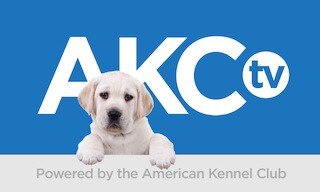 AKC tv