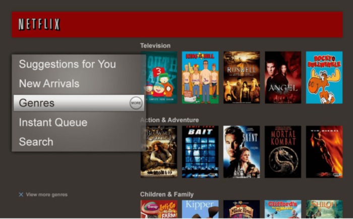 A photo of an old Netflix interface.